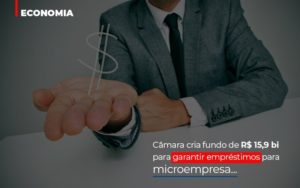 Camara Cria Fundo De Rs 15 9 Bi Para Garantir Emprestimos Para Microempresa - Contabilidade em Vitória - ES | Control Tax