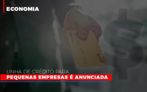 Linha De Credito Para Pequenas Para Pequenas Empresas E Anunciada - Contabilidade em Vitória - ES | Control Tax