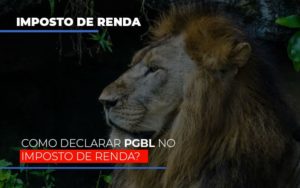 Ir2020:como Declarar Pgbl No Imposto De Renda - Contabilidade em Vitória - ES | Control Tax