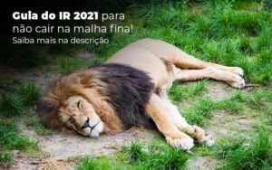 Guia Ir 2021 Para Nao Cair Na Malha Fina Saiba Mais Na Descricao Post 1 (1) Notícias E Artigos Contábeis Em Vitória Es | Controltax Contábil - Contabilidade em Vitória - ES | Control Tax